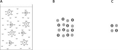 A new variant of the electromagnetic field theory of consciousness: approaches to empirical confirmation